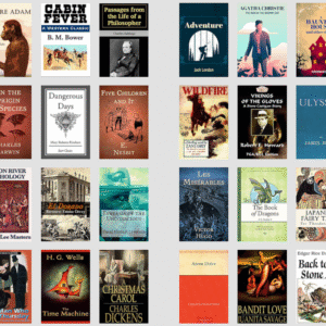 1000 timeless classic & famous novels in digital format with PLR 100% copyright free with PLR and MRR RightsR